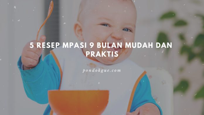 5 Resep MPASI 9 Bulan Mudah dan Praktis