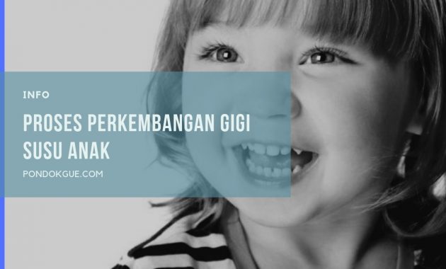 Proses Perkembangan Gigi Susu Anak