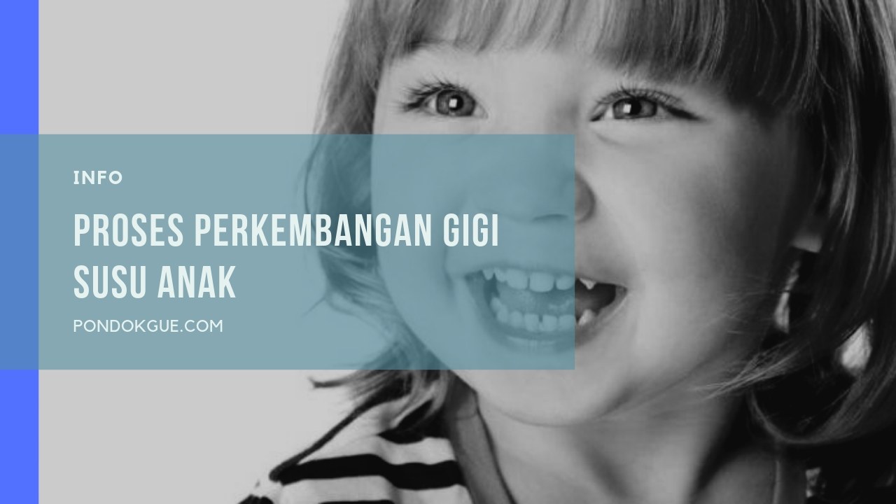 Proses Perkembangan Gigi Susu Anak