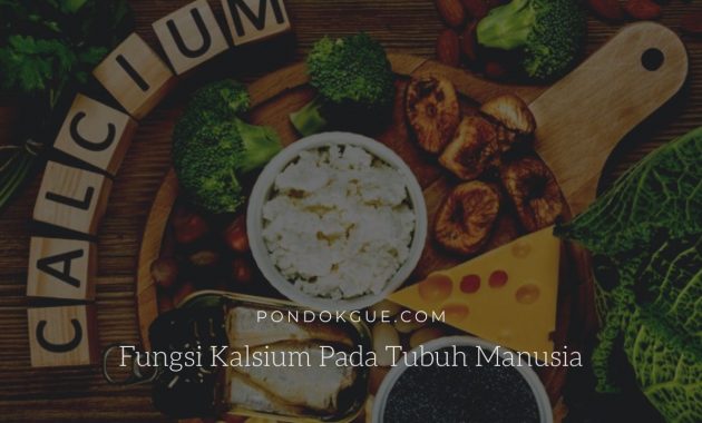 Fungsi Kalsium Pada Tubuh Manusia
