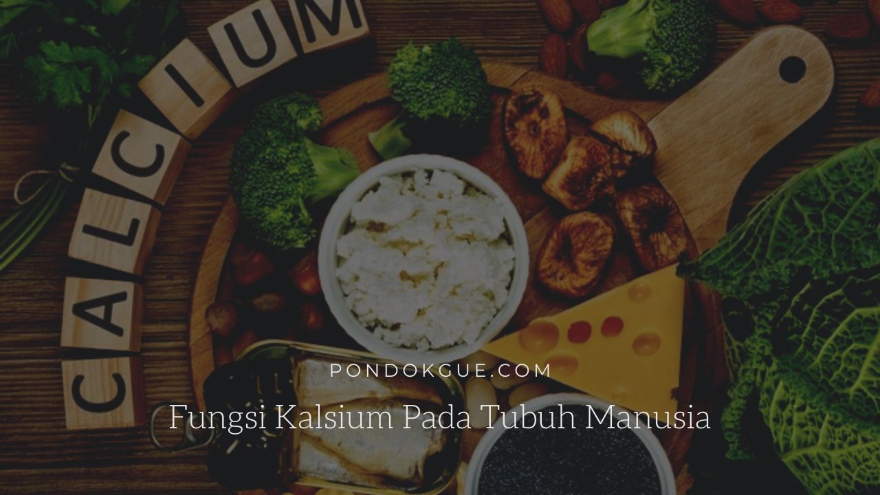 Fungsi Kalsium Pada Tubuh Manusia