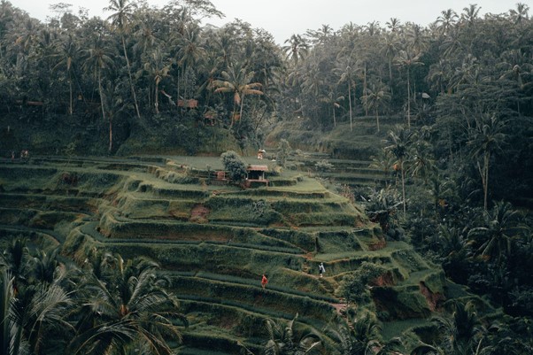 7 Makanan Khas Bali yang Perlu Anda Cicipi