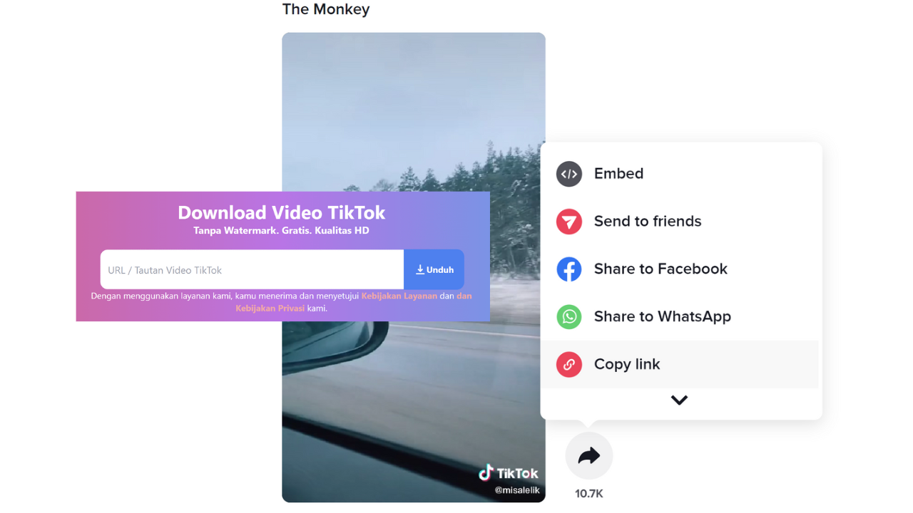 Download Video TikTok Tanpa Watermark