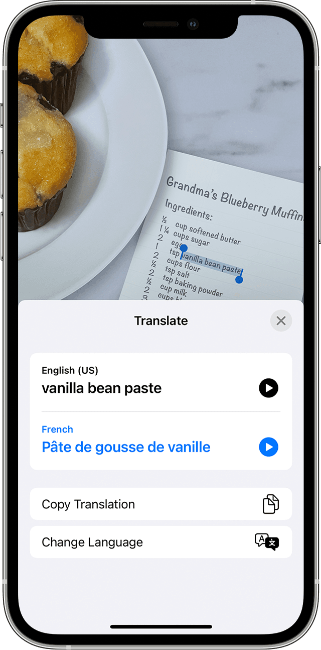 Cara Translate Gambar di iPhone
