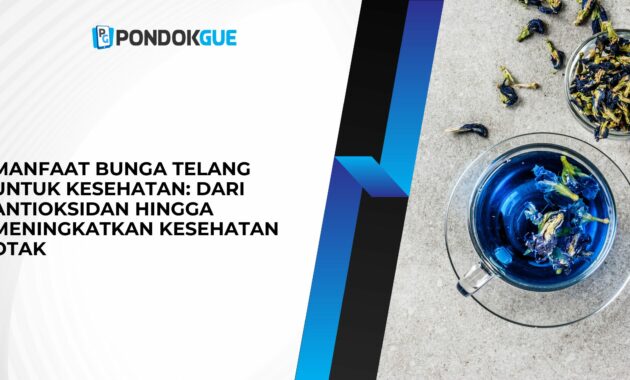 Manfaat Bunga Telang untuk Kesehatan: Dari Antioksidan hingga Meningkatkan Kesehatan Otak