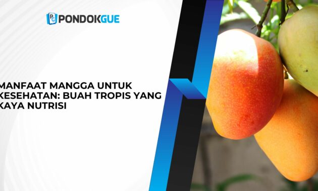 Manfaat Mangga untuk Kesehatan