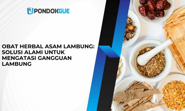 Obat Herbal Asam Lambung