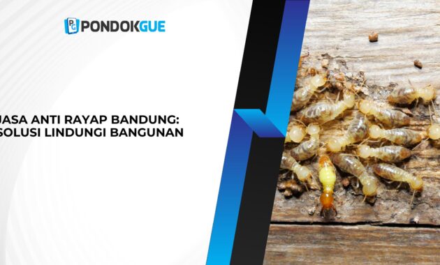 Anti Rayap Bandung